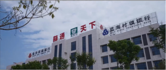 金乡蒜通天下仓储有限公司.png